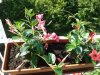 20150705_162420.jpg