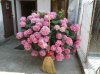 20150709_132128.jpg