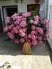 20150709_132136.jpg