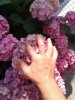 20150709_132345.jpg