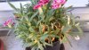 20150711_181545.jpg