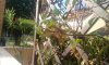 20150710_075736.jpg