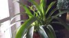 20150715_194944.jpg
