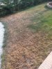 20150715_185501.jpg