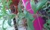 20150724_192215.jpg
