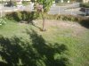 2015-07-28 17.55.33.jpg