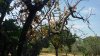 20150714_102406.jpg