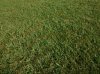IMG_20150724_182820355.jpg