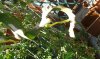 20150724_152233.jpg