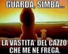 cazzo me frega.jpg