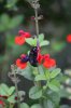 DSC_0463_zps4b17969a.jpg