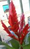 DSCN4991 - Copia.jpg