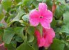 DSCN4994 - Copia.jpg