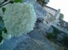 PICT0195.jpg