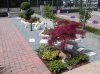 DSCN0550_01.jpg