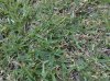 28042011225.jpg