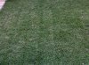 28042011226.jpg