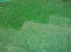 2011-05-14 08.15.32.jpg