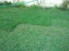 2011-05-14 08.15.37.jpg