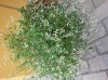 20150824_160535.jpg