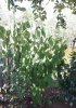 20150723_113836.jpg