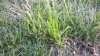WP_20150825_18_09_53_Pro.jpg