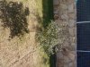 DSCN0017.jpg