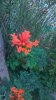 WP_20150830_19_32_20_Pro.jpg