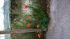 WP_20150830_19_32_16_Pro.jpg