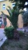 WP_20150902_19_32_10_Pro.jpg