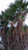 WP_20150902_19_28_34_Pro.jpg