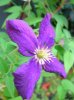 DSCN6531.jpg