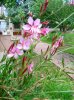 DSCN6537.jpg