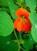 DSCN6544.jpg