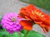 DSCN6527.jpg