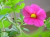 DSCN6517.jpg