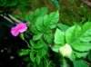 DSCN6543.jpg