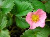 DSCN6516.jpg DSCN6516.jpg