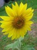 DSCN6521.jpg DSCN6521.jpg