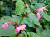 DSCN6539.jpg