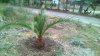 WP_20150907_13_23_01_Pro.jpg