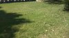 IMG_20150908_132719.jpg