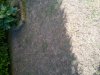 uploadfromtaptalk1441723306104.jpg
