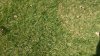 IMG_20150908_132727.jpg