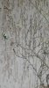 20150915_144933.jpg