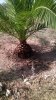 WP_20150918_15_00_23_Pro.jpg
