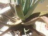 20150923_113225.jpg