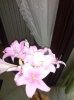 CAM00320.jpg