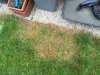 IMG-20151005-WA0005.jpg
