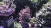 P_20150625_121614.jpg